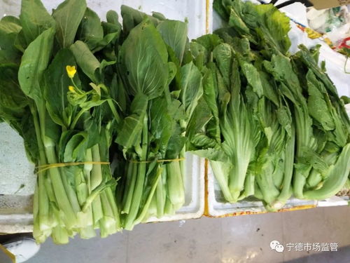 全城抽檢糧油蛋菜肉，守護(hù)疫情期間食用農(nóng)產(chǎn)品安全