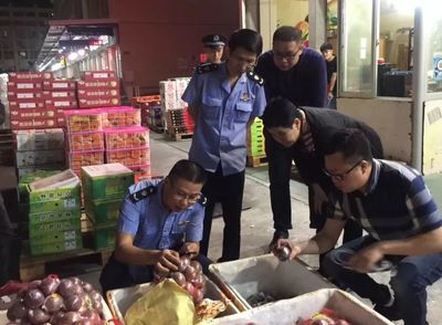 聯合執法織密安全網——我市開展食用農產品批發市場專項檢查紀實