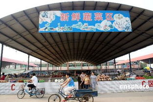 食用農(nóng)產(chǎn)品價(jià)格迎兩月來(lái)首次回落 市場(chǎng)供應(yīng)趨穩(wěn)信號(hào)顯現(xiàn)